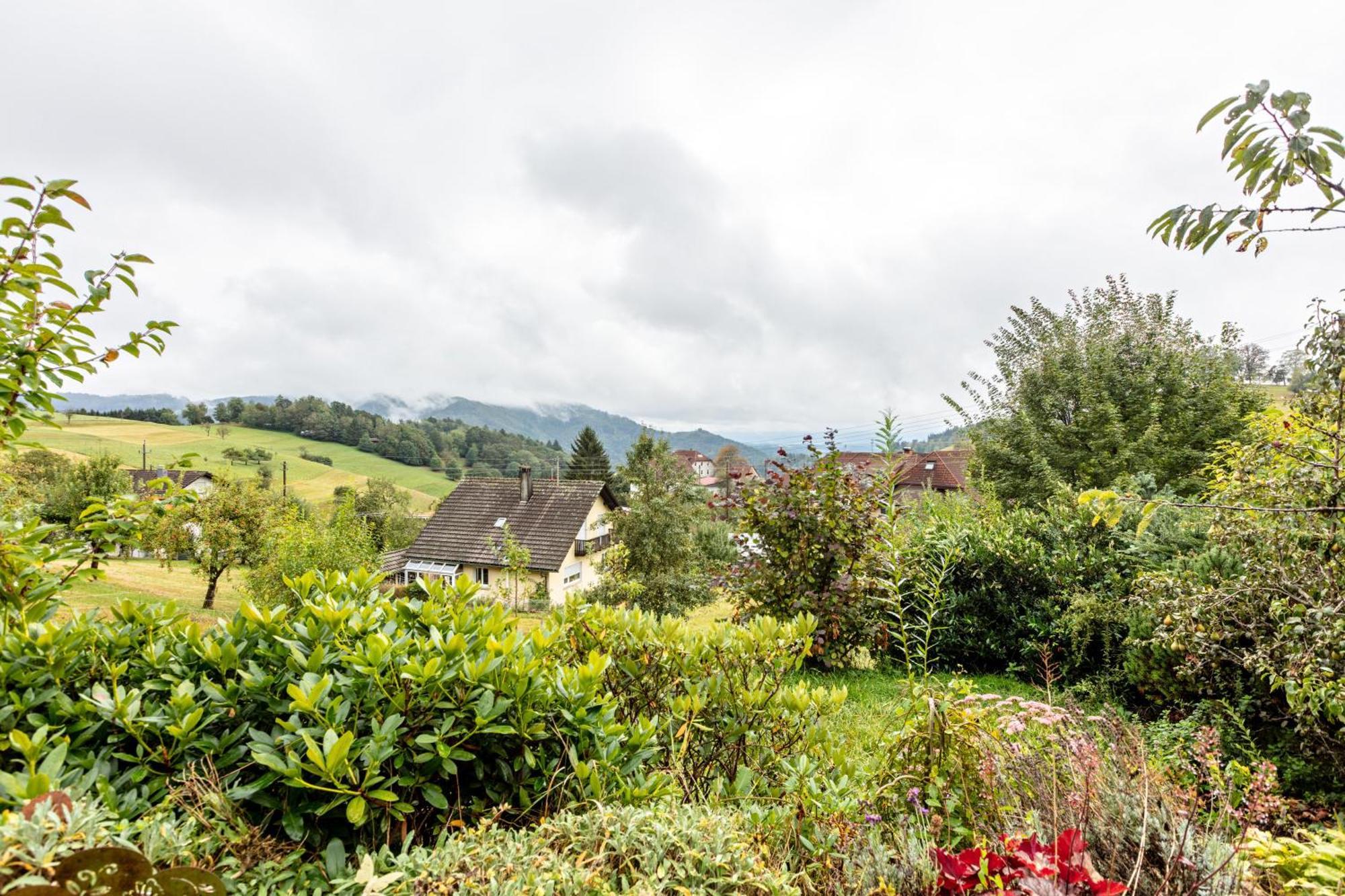 Haus Landblick Leilighet Zell im Wiesenthal Eksteriør bilde